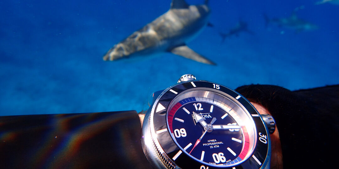 Davosa Dive Watches