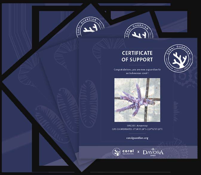 The owner of the Argonautic Coral will receive a certificate of support in the accompanying booklet.